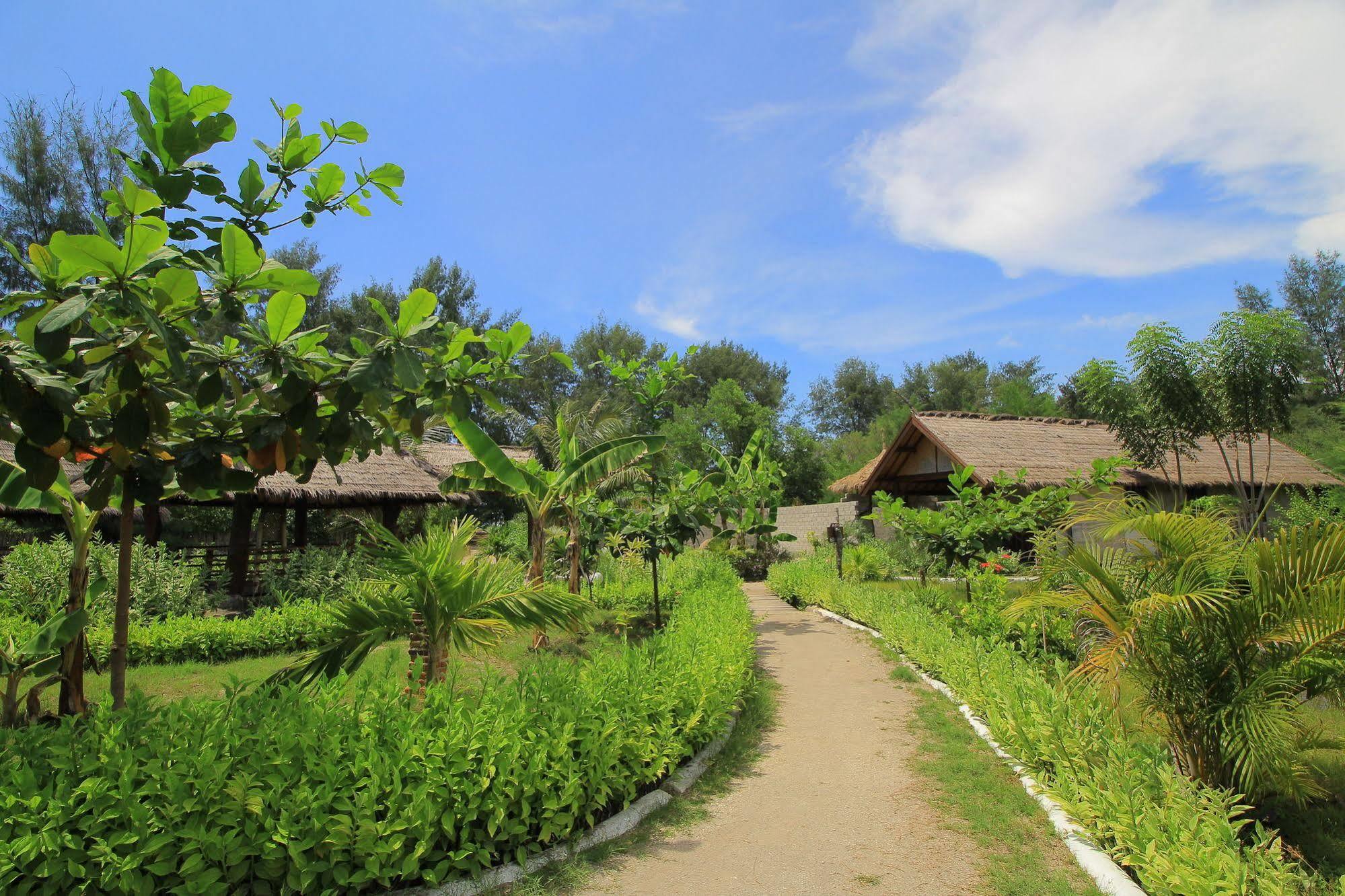 Adeng-Adeng Bungalows Gili Meno Eksteriør billede